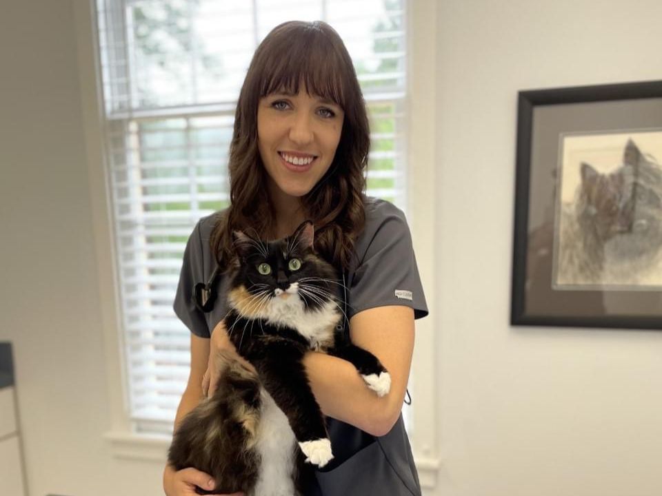 Dr. Shannon (Longenecker) Westphal